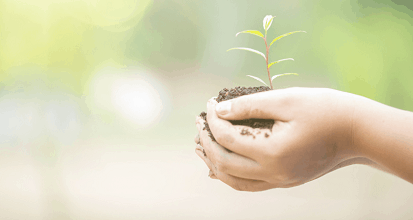 Hands holding a young plant sprouting from soil